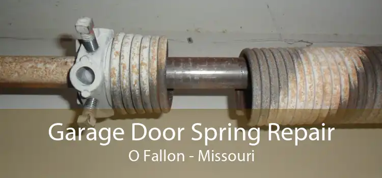 Garage Door Spring Repair O Fallon - Missouri