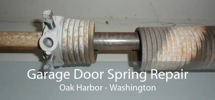 Garage Door Spring Repair Oak Harbor - Washington