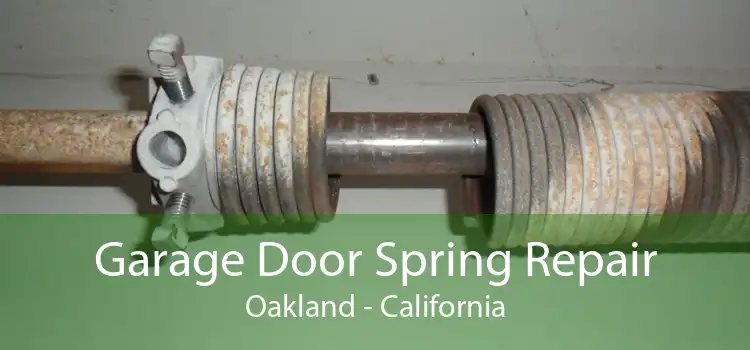 Garage Door Spring Repair Oakland - California