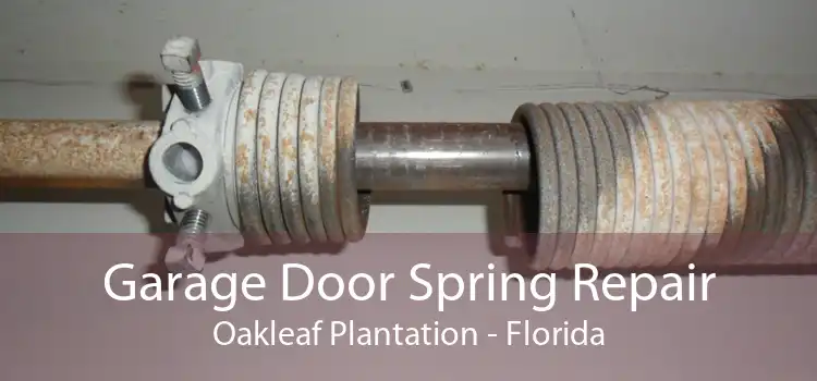 Garage Door Spring Repair Oakleaf Plantation - Florida