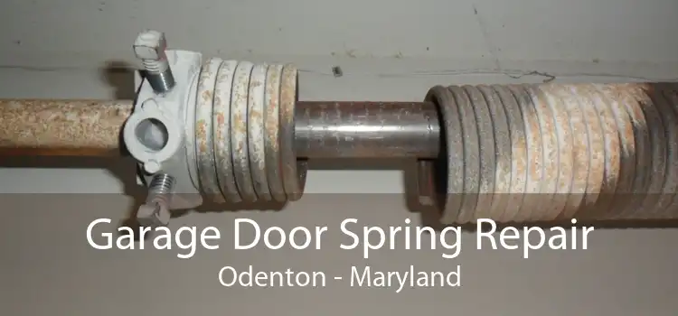 Garage Door Spring Repair Odenton - Maryland