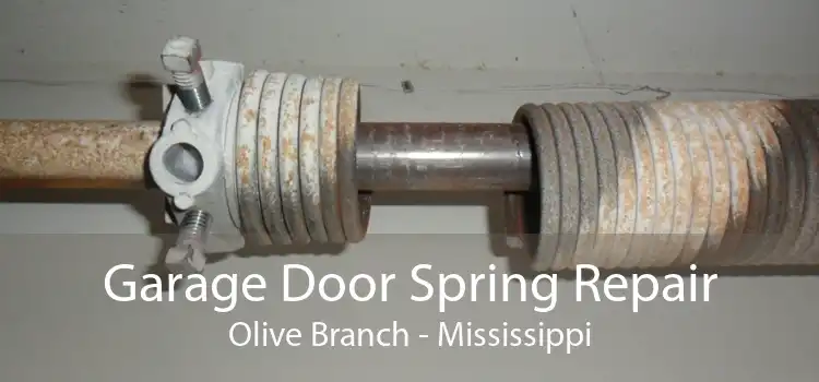Garage Door Spring Repair Olive Branch - Mississippi