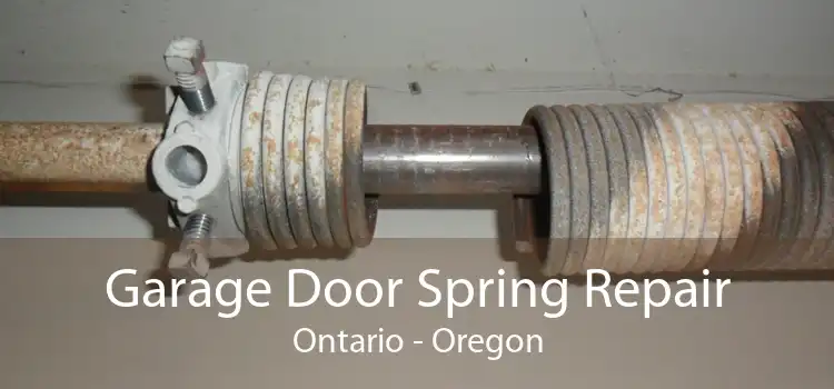 Garage Door Spring Repair Ontario - Oregon