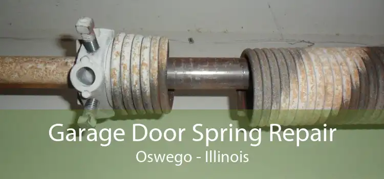 Garage Door Spring Repair Oswego - Illinois