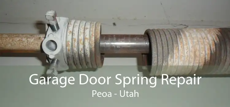 Garage Door Spring Repair Peoa - Utah
