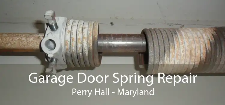 Garage Door Spring Repair Perry Hall - Maryland