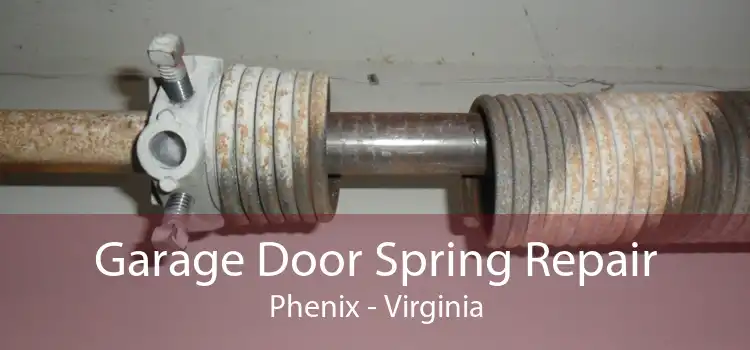 Garage Door Spring Repair Phenix - Virginia