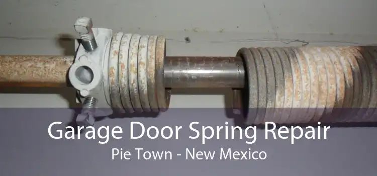 Garage Door Spring Repair Pie Town - New Mexico
