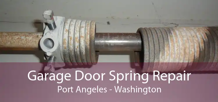 Garage Door Spring Repair Port Angeles - Washington