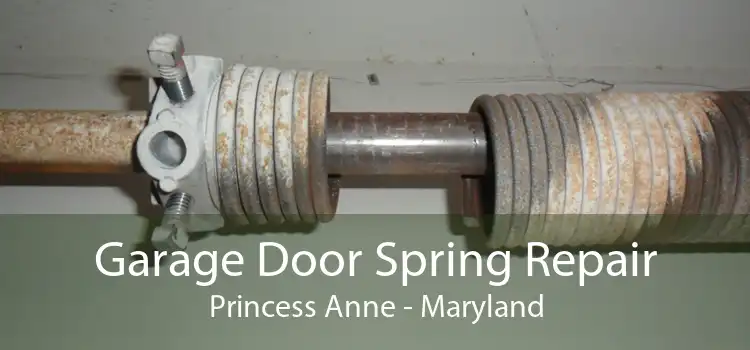 Garage Door Spring Repair Princess Anne - Maryland
