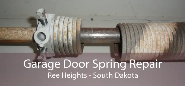 Garage Door Spring Repair Ree Heights - South Dakota