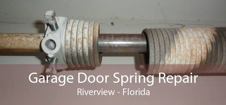 Garage Door Spring Repair Riverview - Florida
