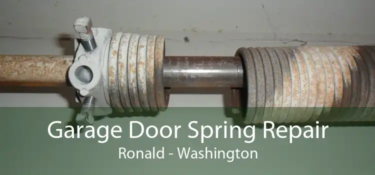 Garage Door Spring Repair Ronald - Washington