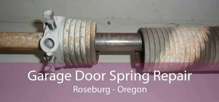 Garage Door Spring Repair Roseburg - Oregon