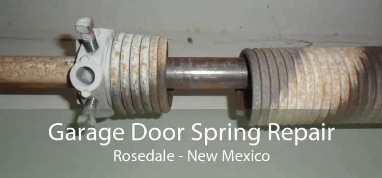 Garage Door Spring Repair Rosedale - New Mexico