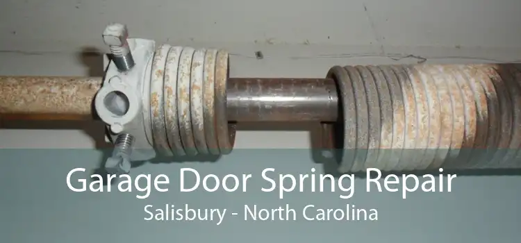 Garage Door Spring Repair Salisbury - North Carolina