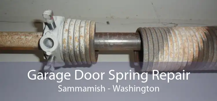 Garage Door Spring Repair Sammamish - Washington