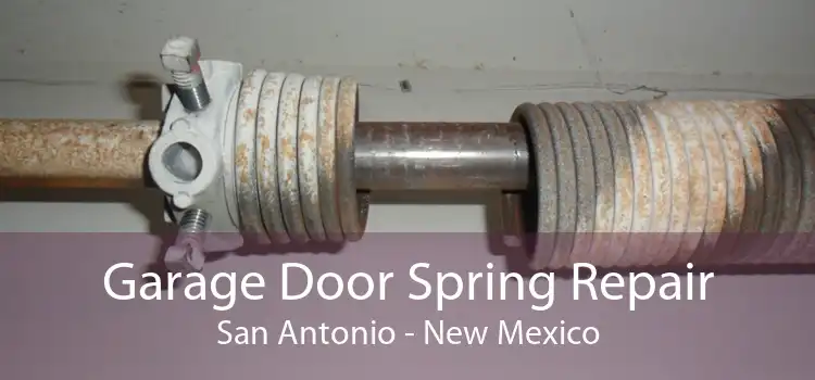 Garage Door Spring Repair San Antonio - New Mexico