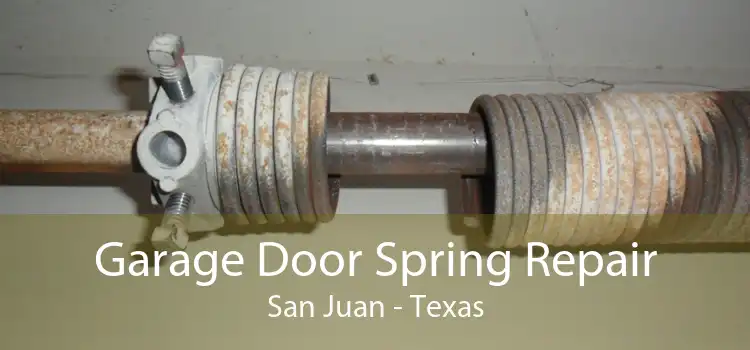 Garage Door Spring Repair San Juan - Texas