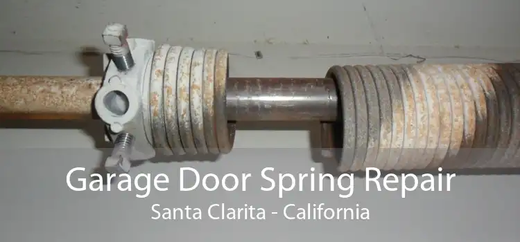 Garage Door Spring Repair Santa Clarita - California