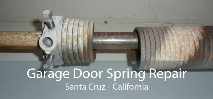 Garage Door Spring Repair Santa Cruz - California
