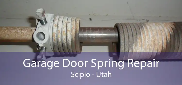 Garage Door Spring Repair Scipio - Utah
