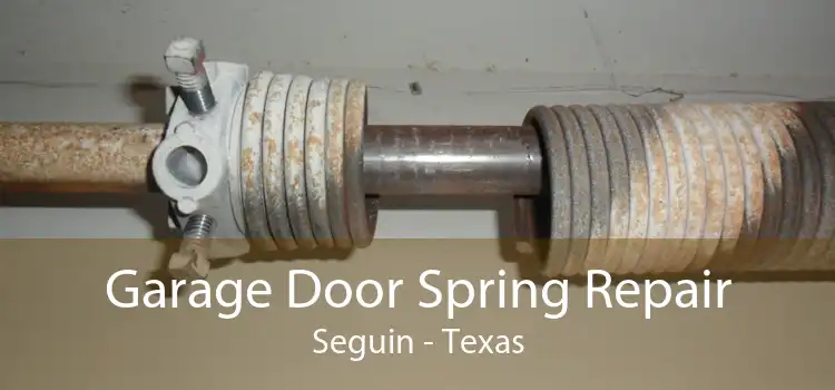 Garage Door Spring Repair Seguin - Texas