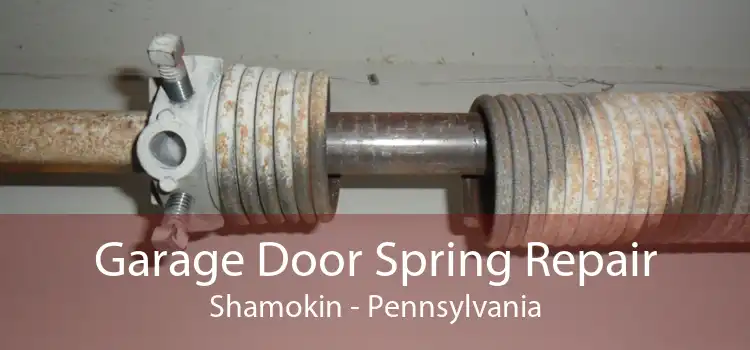 Garage Door Spring Repair Shamokin - Pennsylvania