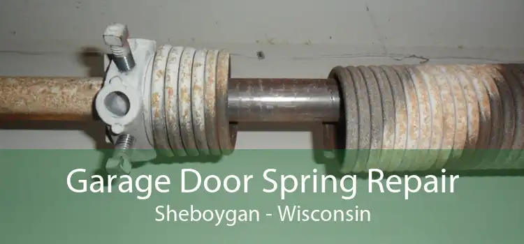 Garage Door Spring Repair Sheboygan - Wisconsin