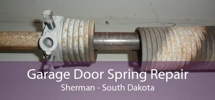 Garage Door Spring Repair Sherman - South Dakota