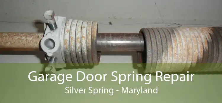 Garage Door Spring Repair Silver Spring - Maryland