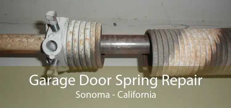 Garage Door Spring Repair Sonoma - California