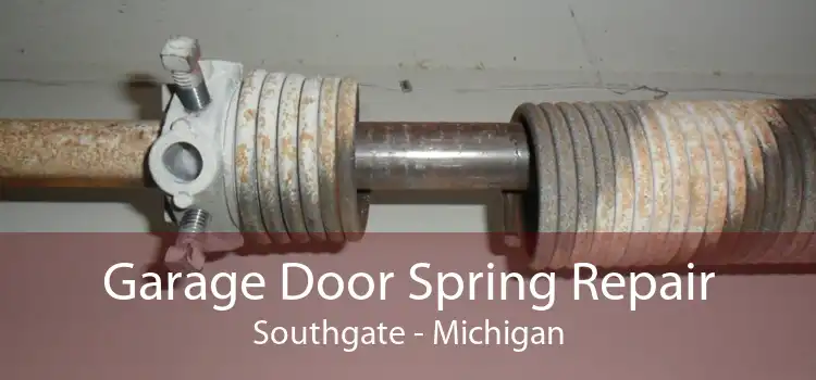 Garage Door Spring Repair Southgate - Michigan