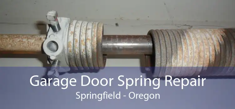 Garage Door Spring Repair Springfield - Oregon
