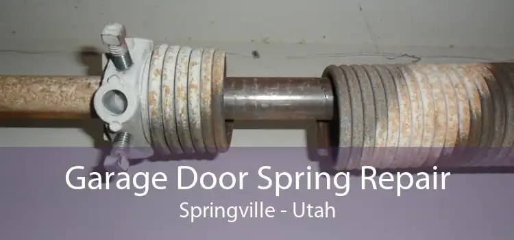 Garage Door Spring Repair Springville - Utah