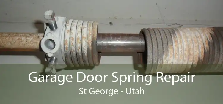 Garage Door Spring Repair St George - Utah