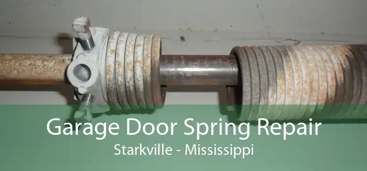 Garage Door Spring Repair Starkville - Mississippi