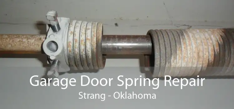 Garage Door Spring Repair Strang - Oklahoma