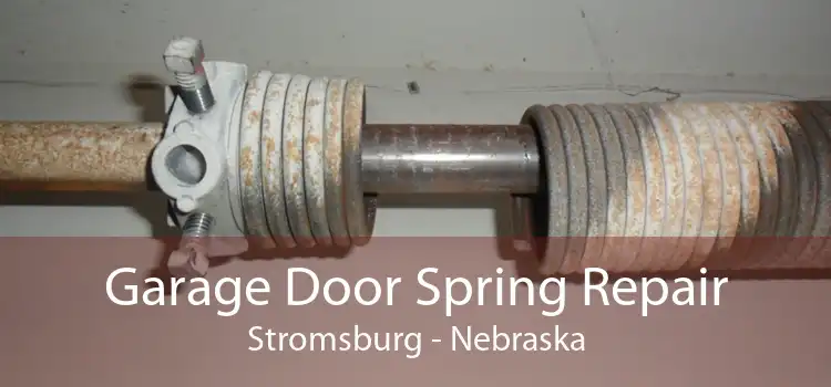 Garage Door Spring Repair Stromsburg - Nebraska