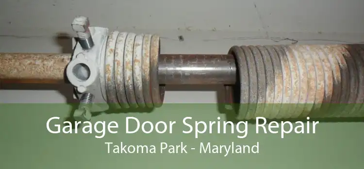 Garage Door Spring Repair Takoma Park - Maryland