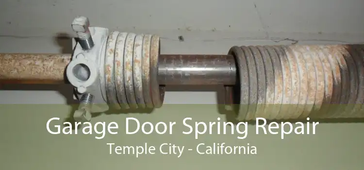 Garage Door Spring Repair Temple City - California