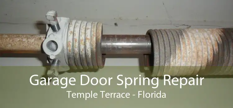 Garage Door Spring Repair Temple Terrace - Florida