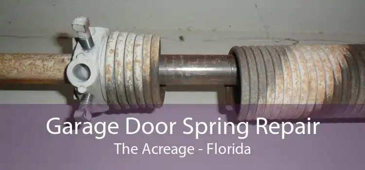 Garage Door Spring Repair The Acreage - Florida