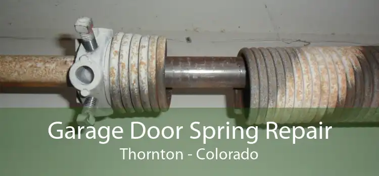Garage Door Spring Repair Thornton - Colorado
