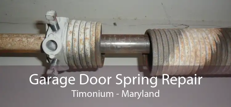 Garage Door Spring Repair Timonium - Maryland
