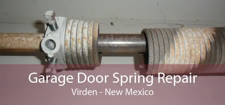 Garage Door Spring Repair Virden - New Mexico