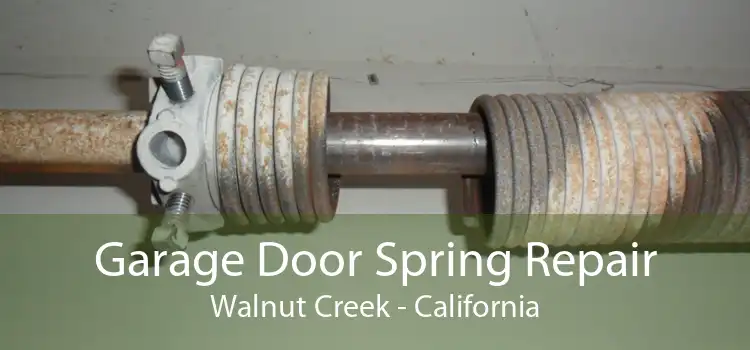 Garage Door Spring Repair Walnut Creek - California