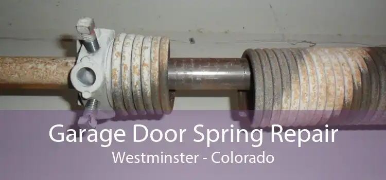 Garage Door Spring Repair Westminster - Colorado