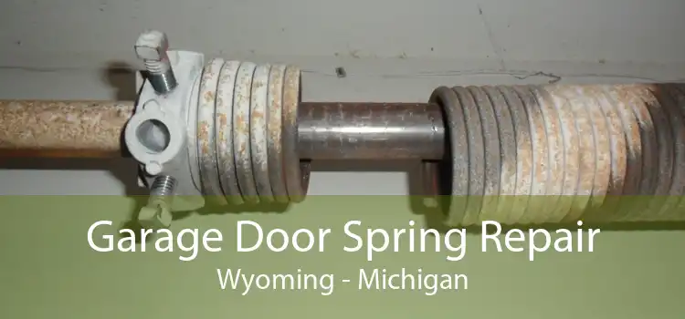 Garage Door Spring Repair Wyoming - Michigan