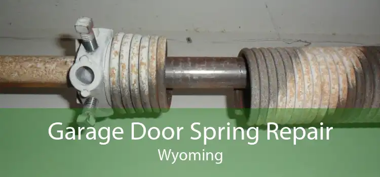 Garage Door Spring Repair Wyoming